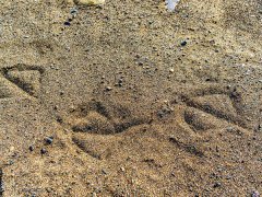 ��ɰ����γɵ����c�C(j��)��ɰ�C(j��)��ʲô�^(q��)�e��