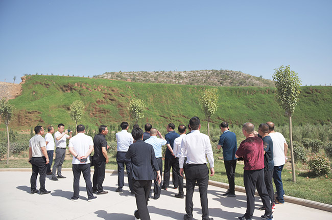 了解礦山修復及環(huán)境治理情況