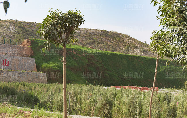 綠色礦山怎么建?中譽鼎力多地打造綠色環保砂石廠